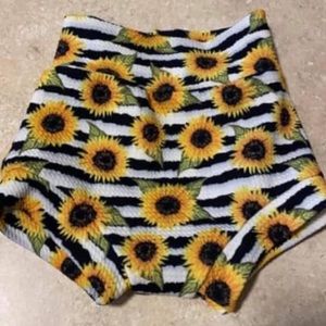Sunflower bummies